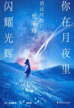 Ni zai yue ye li shan yao guang hui